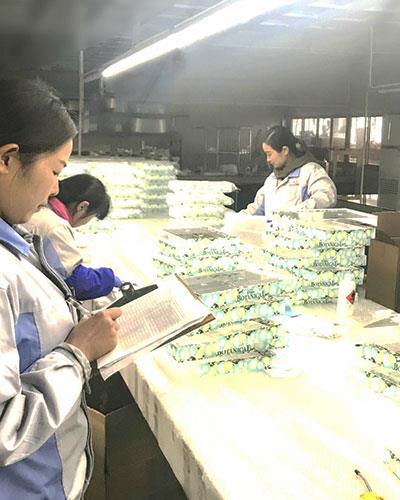 Production line audit and Quality analysis