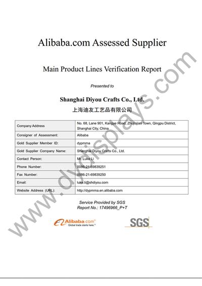 SGS- DISPLAY_1.jpg
